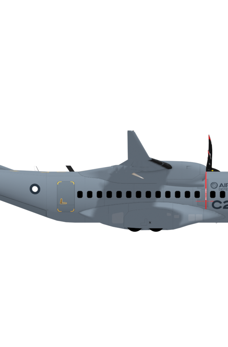 C295W